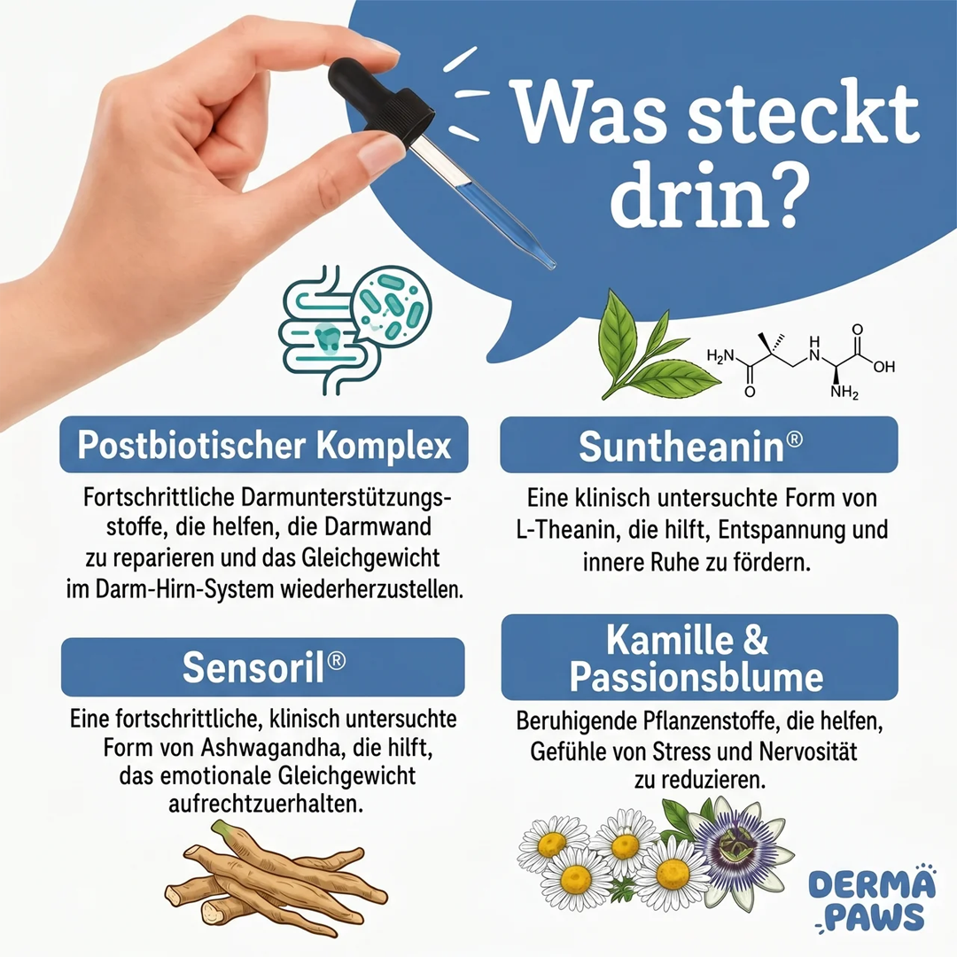DermaPaws – Von Tierärzten empfohlene Tropfen zur Unterstützung bei Darmfunktionsstörungen &  Linderung von Juckreiz