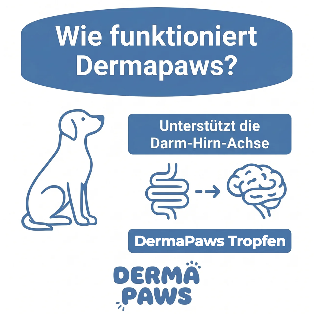 DermaPaws – Von Tierärzten empfohlene Tropfen zur Unterstützung bei Darmfunktionsstörungen &  Linderung von Juckreiz