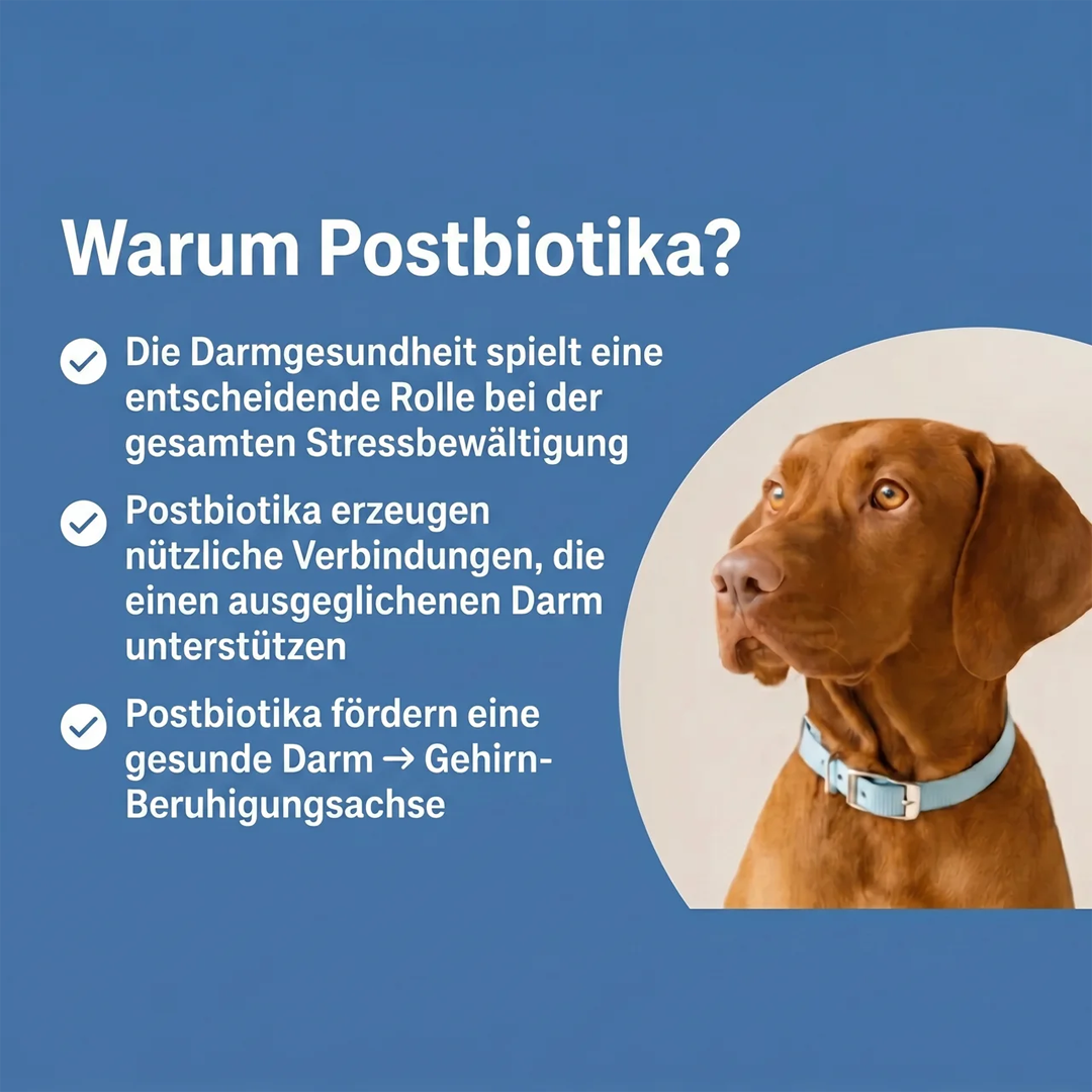 DermaPaws – Von Tierärzten empfohlene Tropfen zur Unterstützung bei Darmfunktionsstörungen &  Linderung von Juckreiz