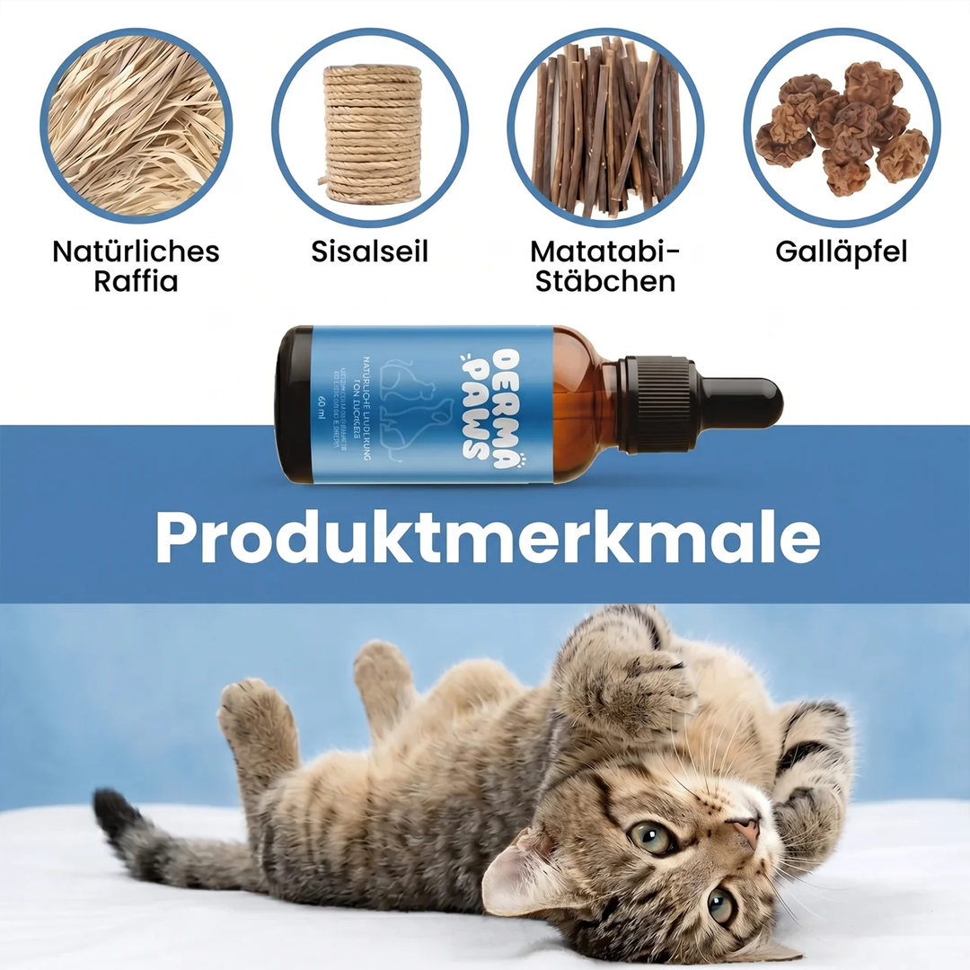 DermaPaws – Von Tierärzten empfohlene Tropfen für Katzen mit Silverine