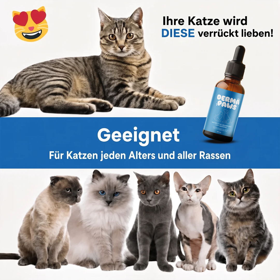 DermaPaws – Von Tierärzten empfohlene Tropfen für Katzen mit Silverine