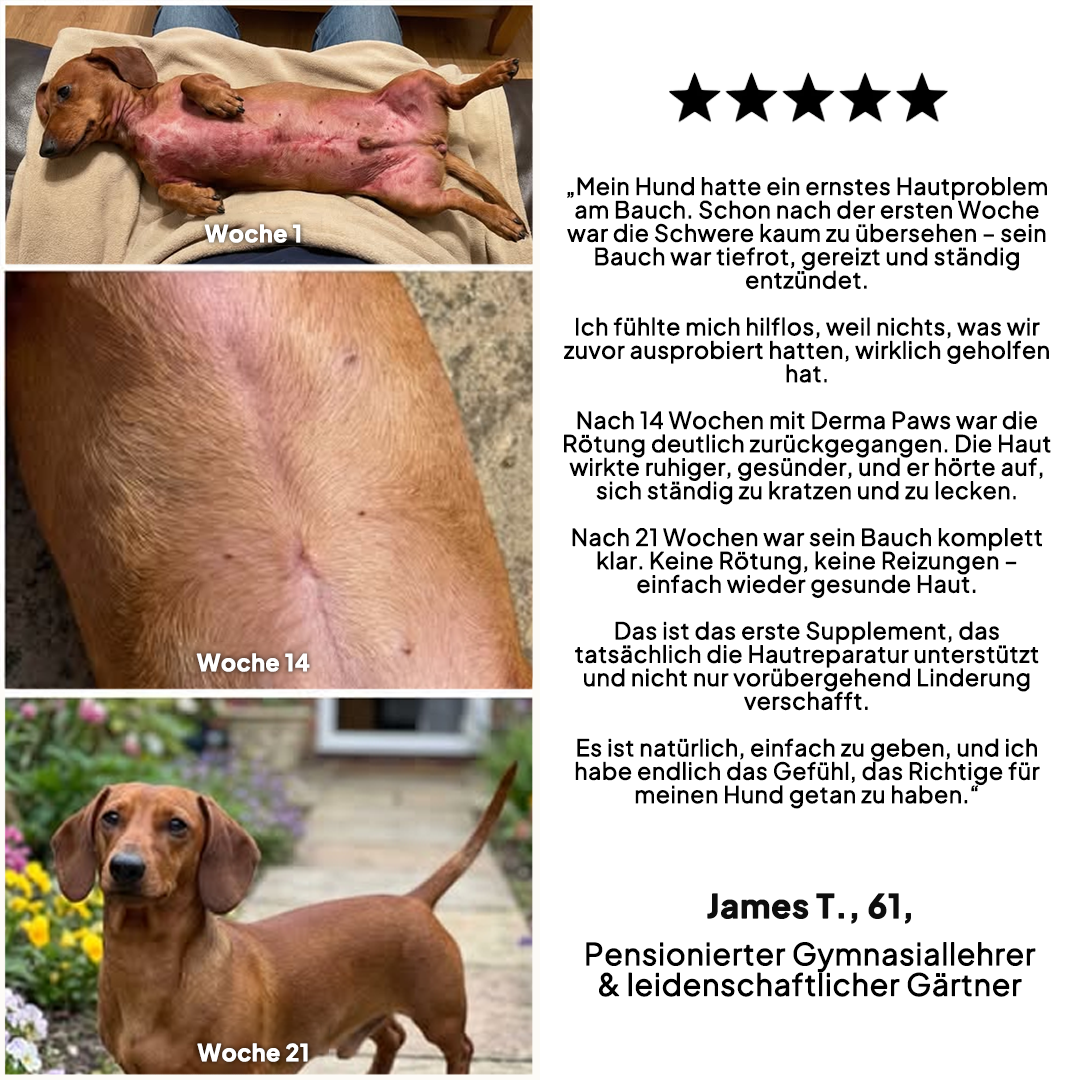DermaPaws - Von Tierärzten empfohlene Juckreiz-Tropfen