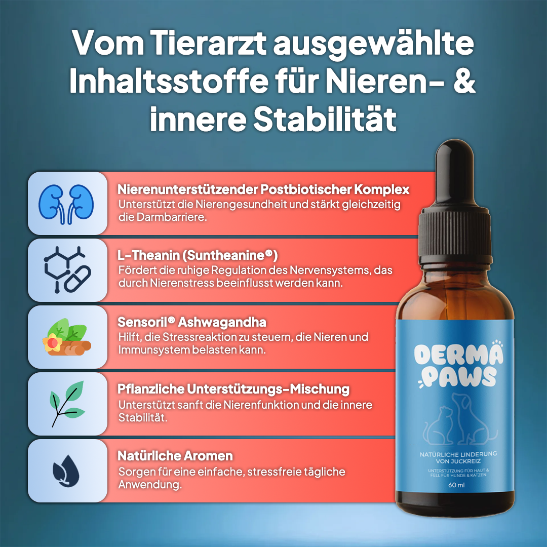 DermaPaws – Von Tierärzten empfohlene Tropfen zur Unterstützung der Nierenfunktion &  Linderung von Juckreiz