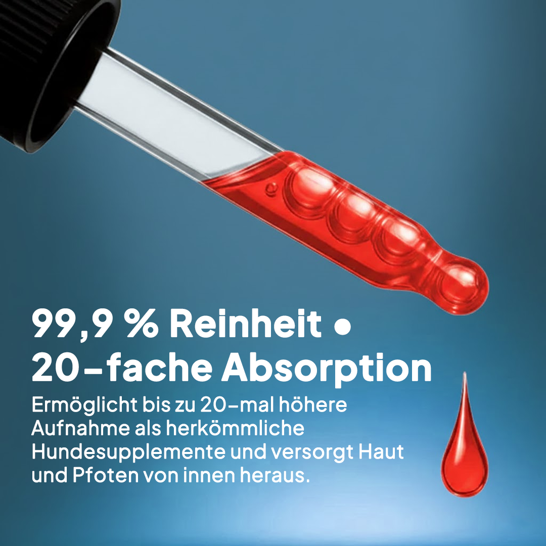 DermaPaws - Von Tierärzten empfohlene Juckreiz-Tropfen