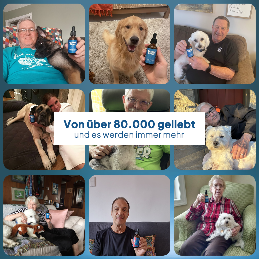 DermaPaws - Von Tierärzten empfohlene Juckreiz-Tropfen