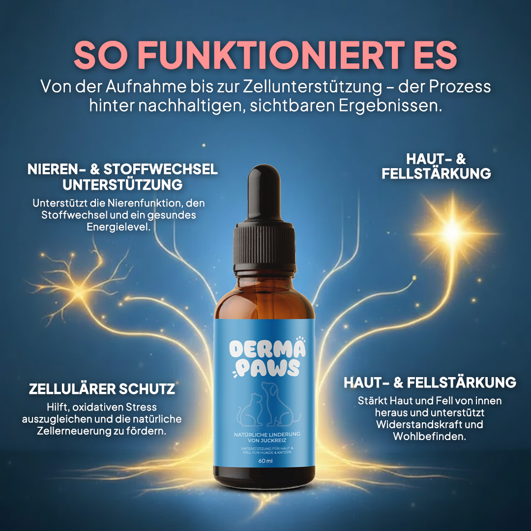DermaPaws – Von Tierärzten empfohlene Tropfen für Katzen
