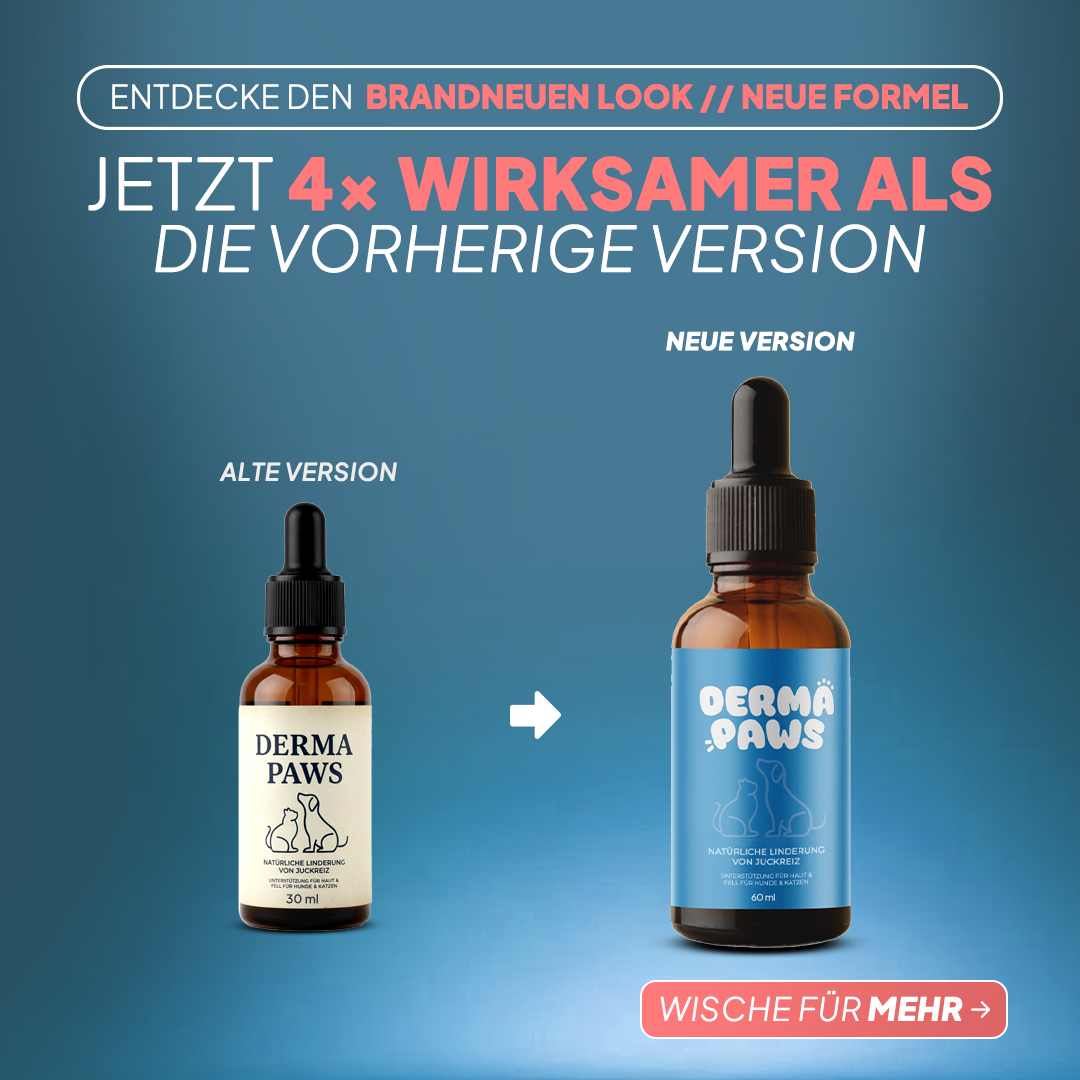 DermaPaws - Von Tierärzten empfohlene Juckreiz-Tropfen